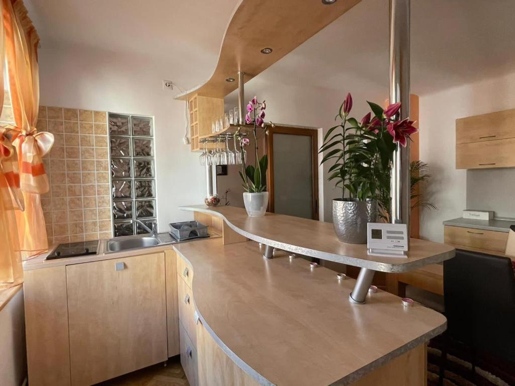 Winterland Sf.Ioan Apartment Brasov Luaran gambar